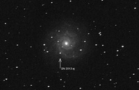 Supernova w M74
